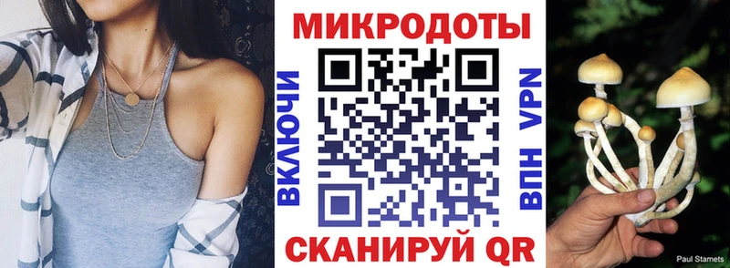 Галлюциногенные грибы прущие грибы Лысьва